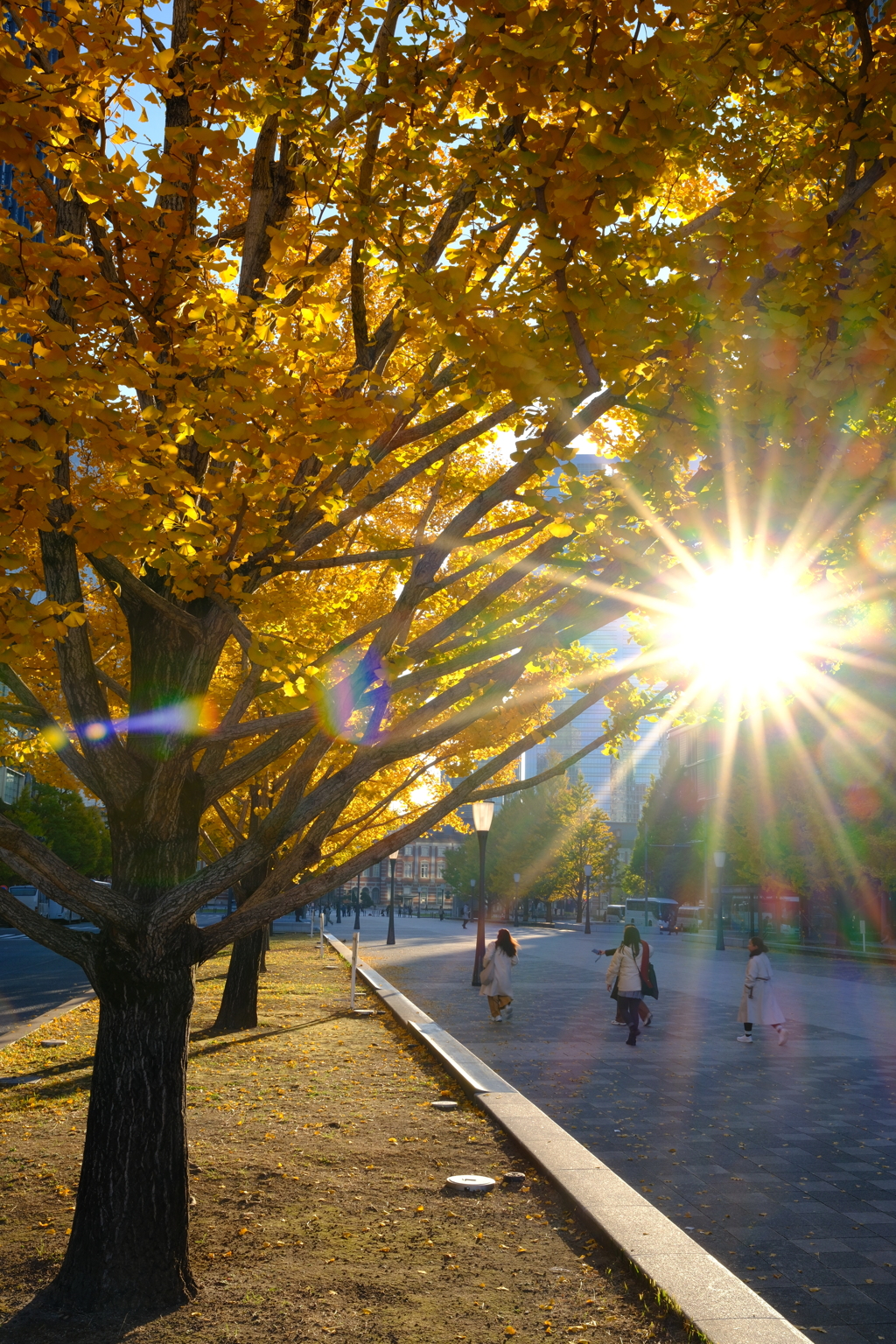 黄輝　（こうき）