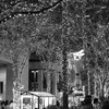 Monochrome street in MARUNOUCHI