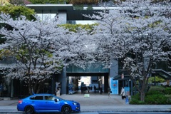With the blue car