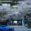 With the blue car