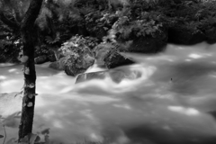 black and white stream