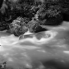 black and white stream