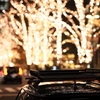 Top & Lights