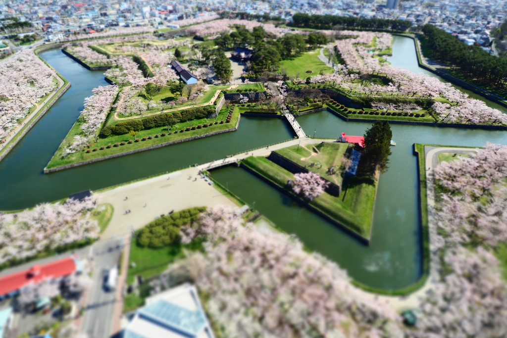 『箱庭五稜郭』