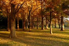 秋穏　（しゅうおん）