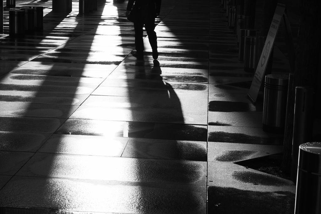 Intense morning sun