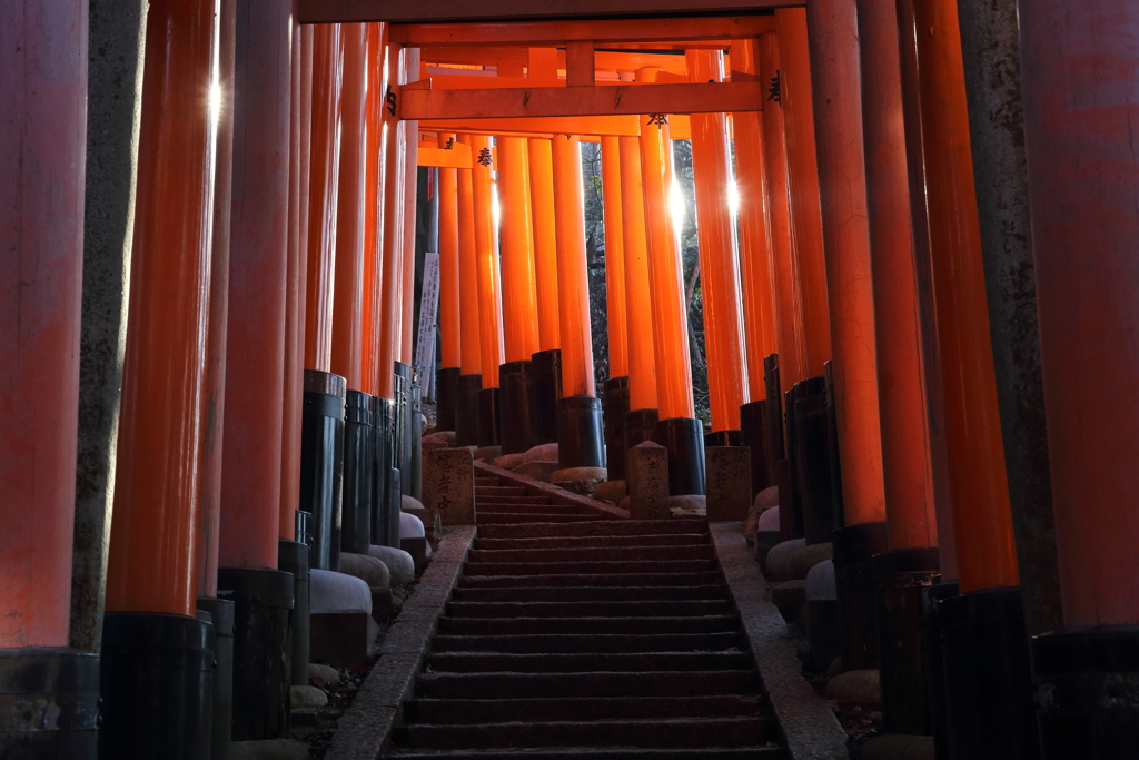 Red “TORII” Corrido