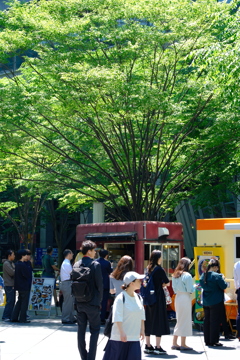 Lunch on Green
