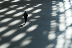 Labyrinth of light and shadow