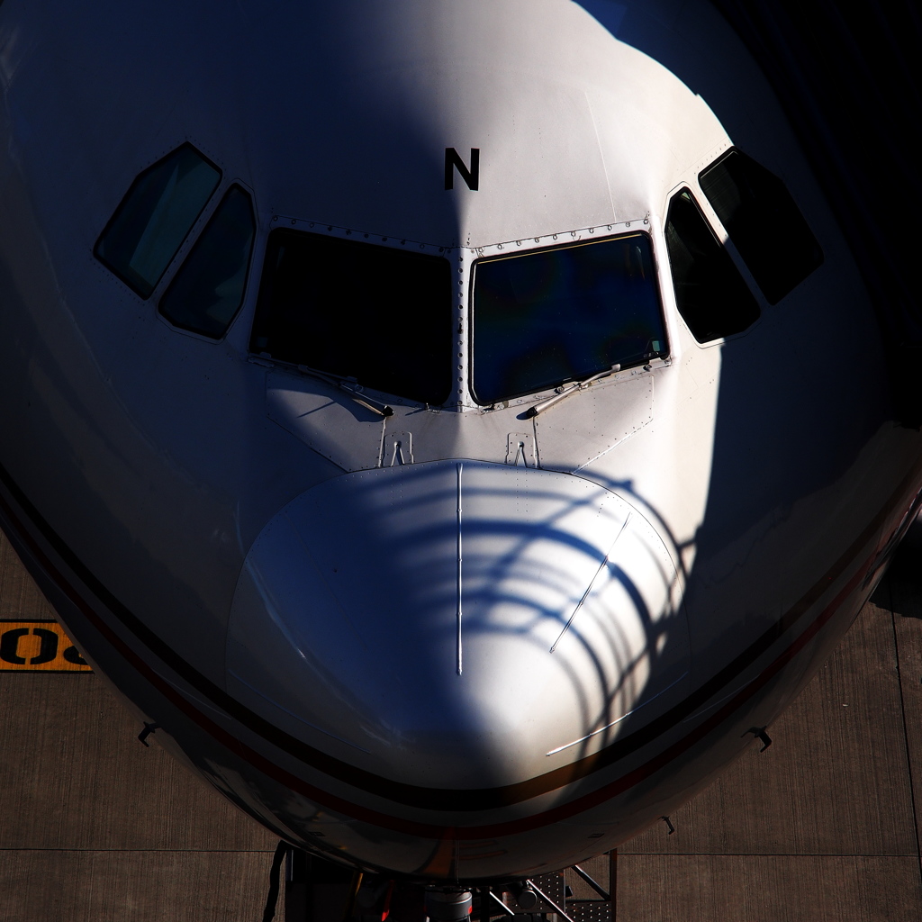 The Nose