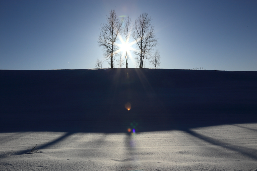 Three Trees