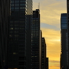 Manhattan Sunset
