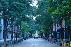 Nakadori at dawn