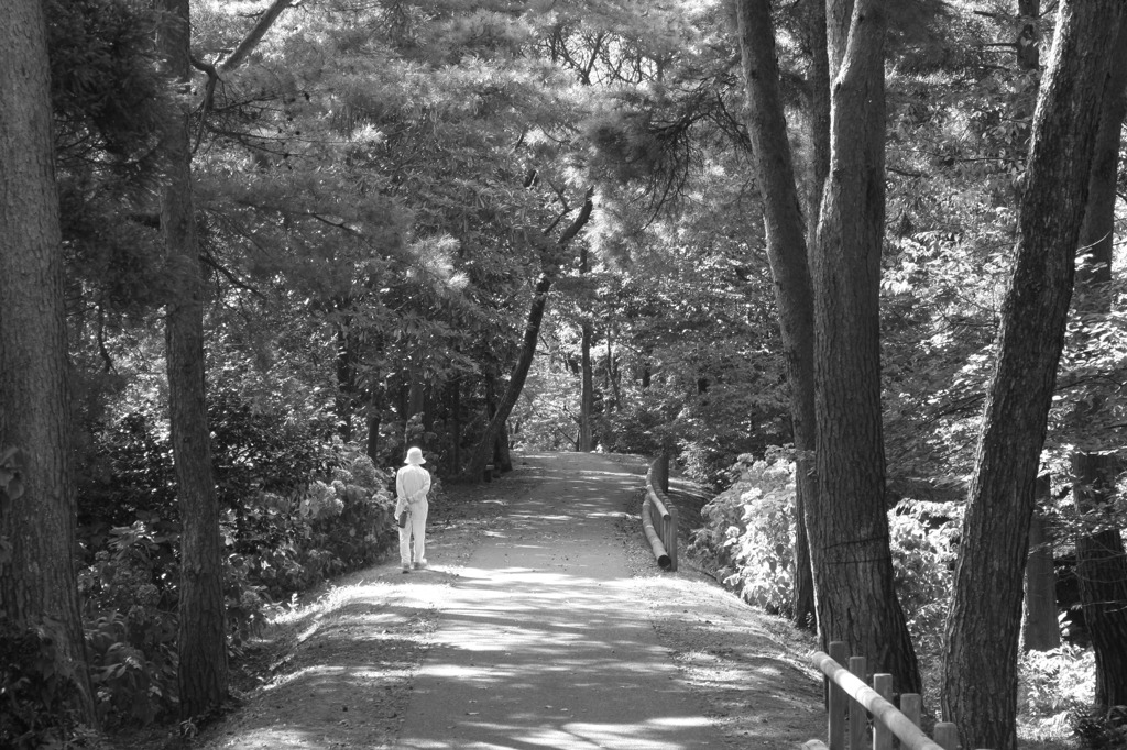 ゆっくり歩む　　　―walk slowly in forest―