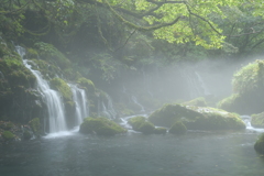 濃霧乃朝