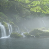 濃霧乃朝