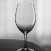 A wine glass