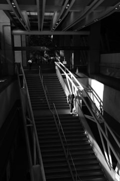 morning spot at stairs