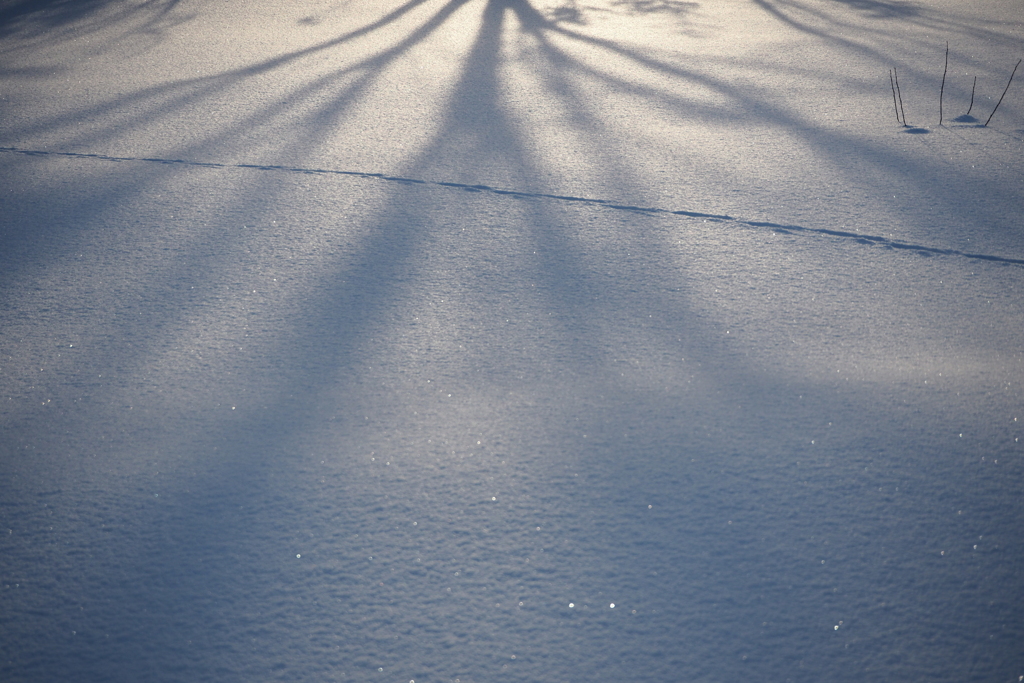 Pale shadow on snow surface