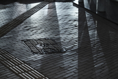 Shadow Line