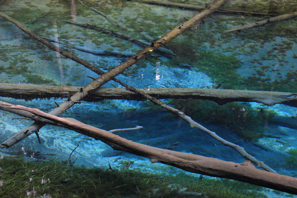 Almost Transparent Blue