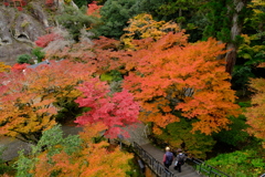 彩感　（さいかん）