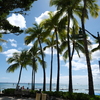 WAIKIKI holidays