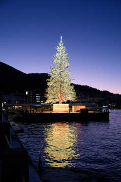 ChristmasTree on the BaySide