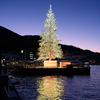 ChristmasTree on the BaySide