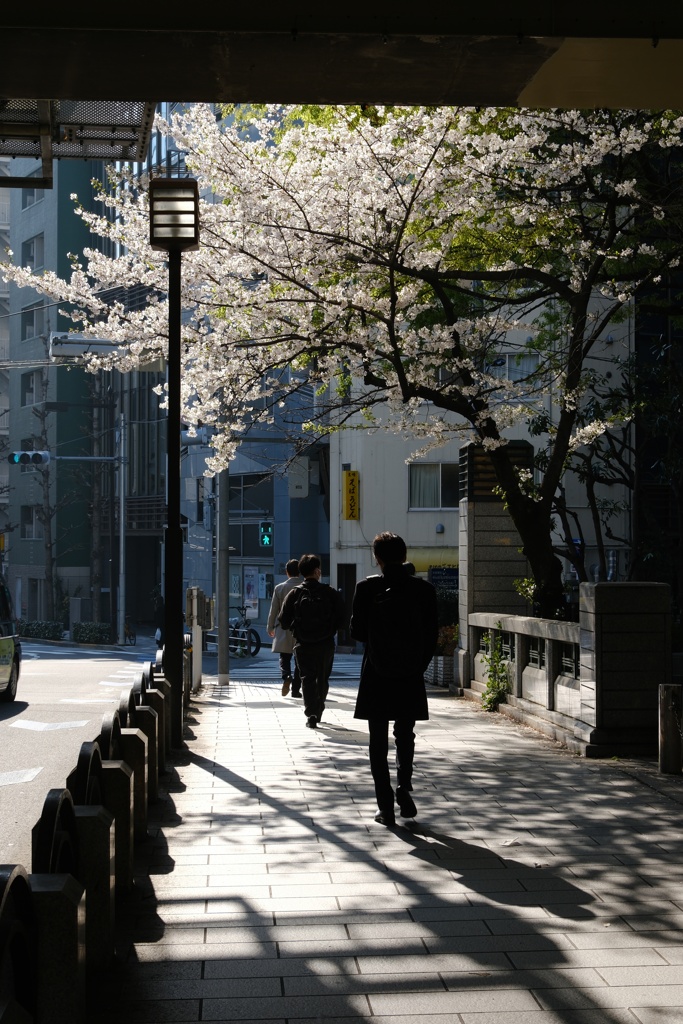 首都高高架下にて