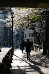 首都高高架下にて