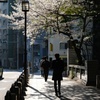 首都高高架下にて