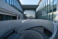 symbol of cultural revival