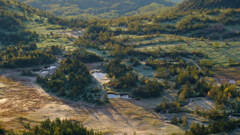 池塘の朝