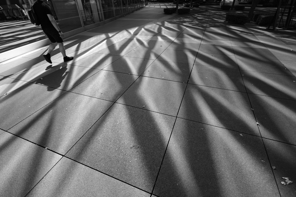 complex grid of light