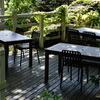 summer morning café
