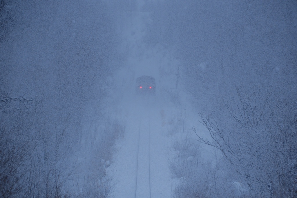 snow veil