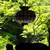 緑穏 （りょくおん）