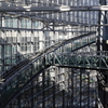 Urban Jungle