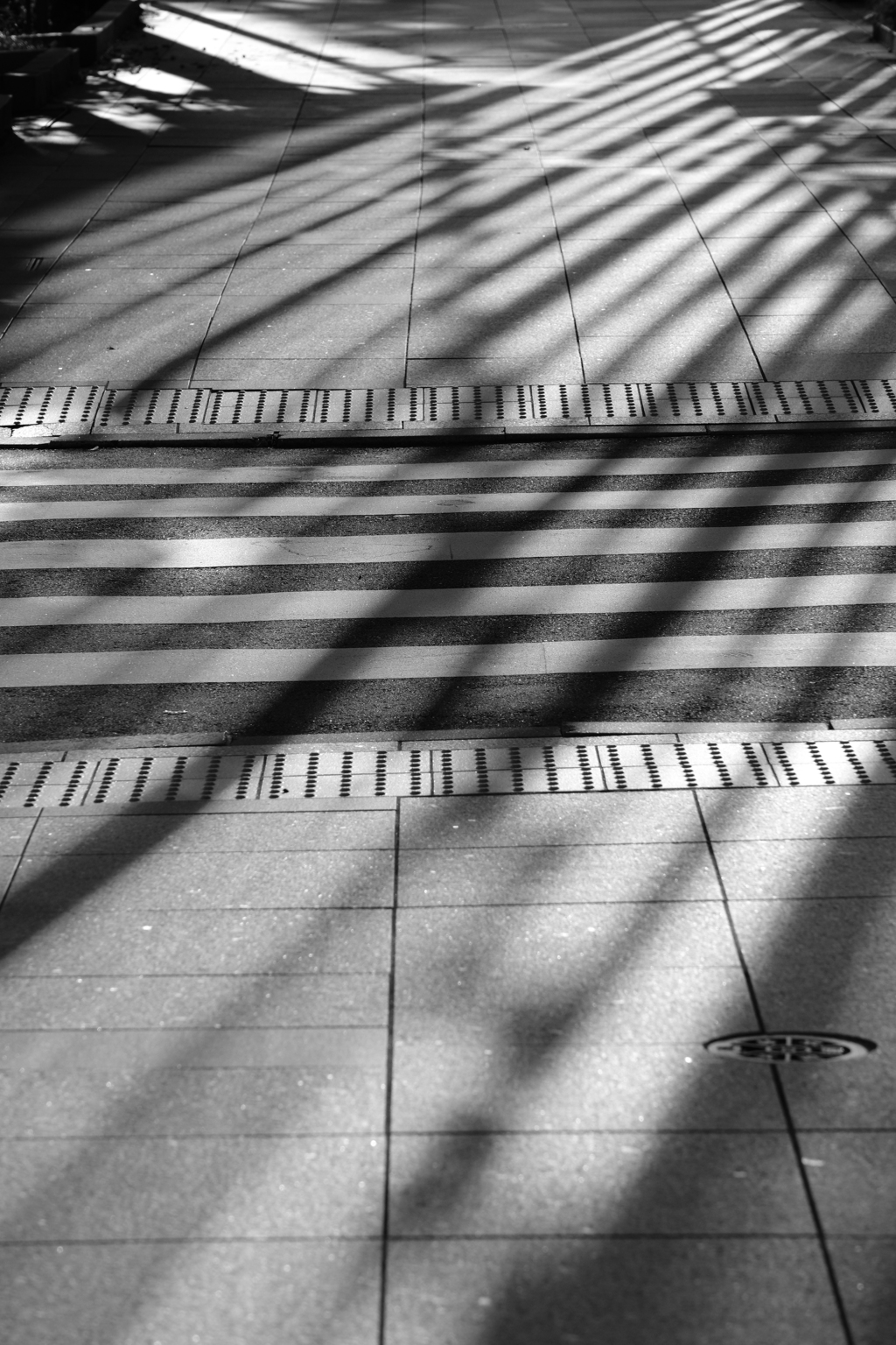 Intersecting Lines