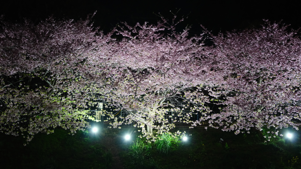 夜に浮かびし、