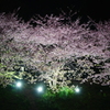 夜に浮かびし、