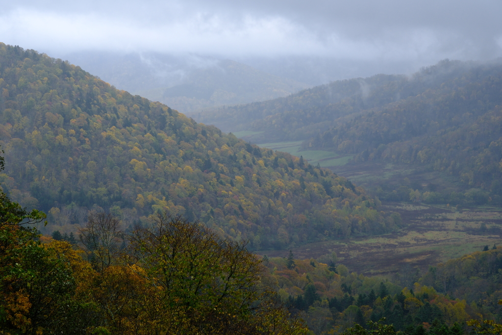 雨に煙る江丹別峠