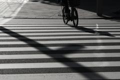 crosswalk and bicycle