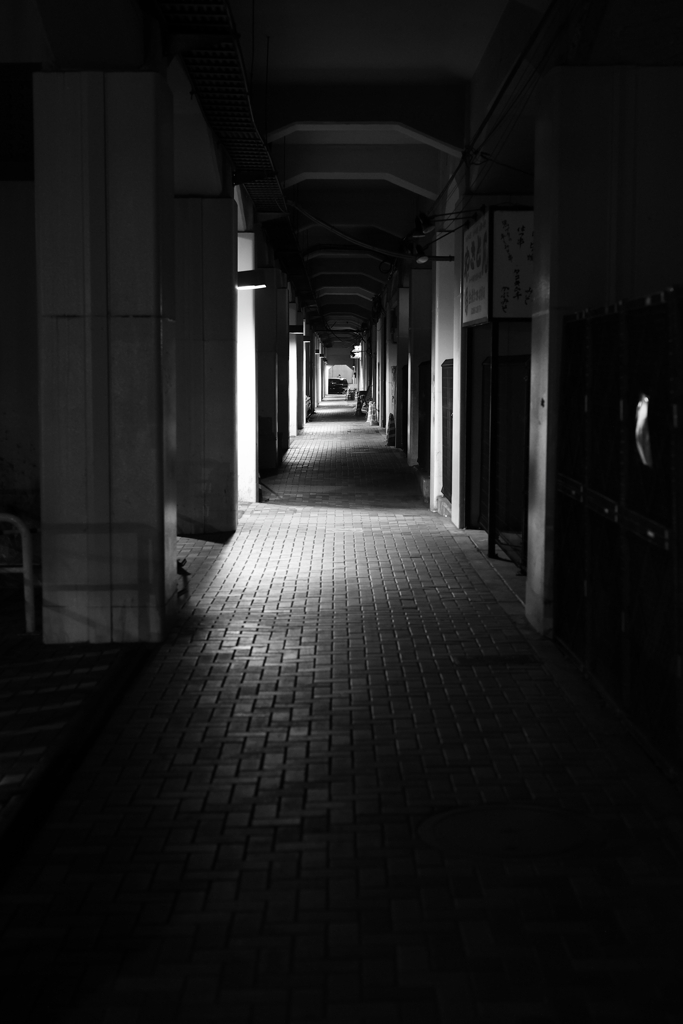 Beyond the deep darkness under viaduct