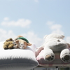 ただいま日光浴中^^