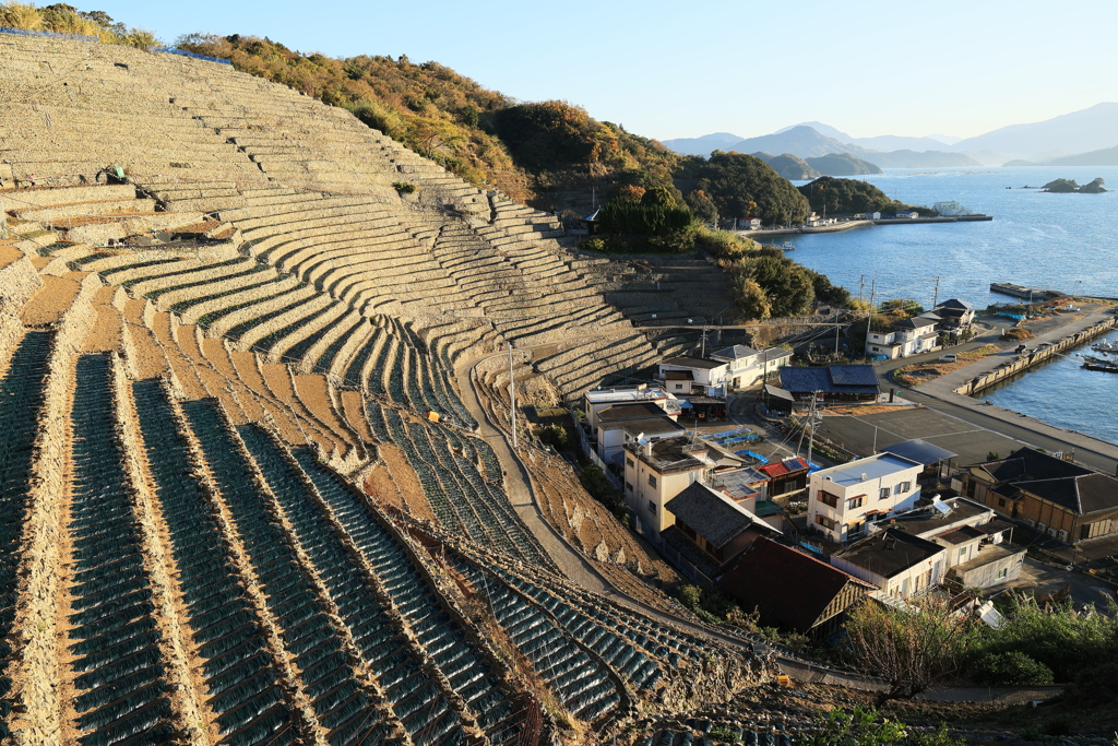 Oriental Colosseum