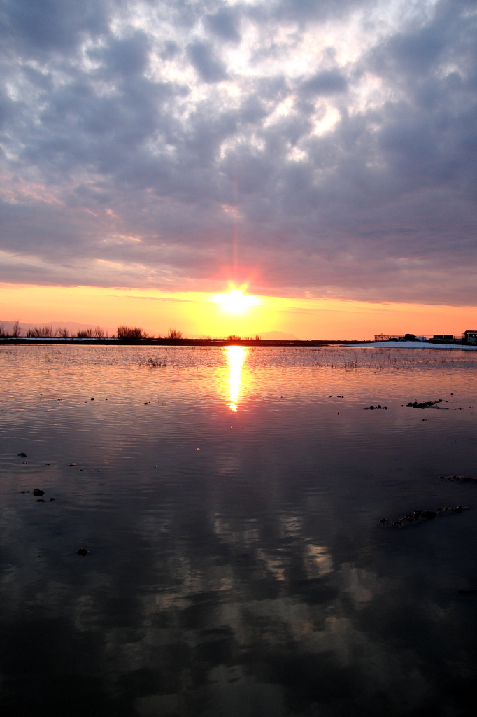 あぁ、夕陽が差してきたね。明日は晴れかな^^