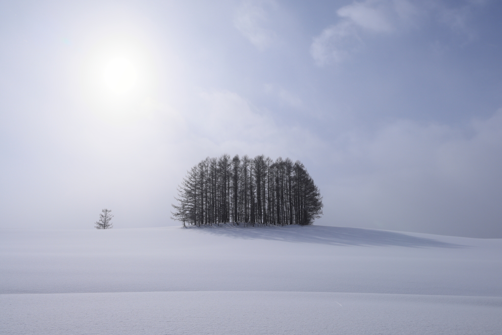 雪 原 に