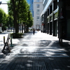 From Tokyo Station
